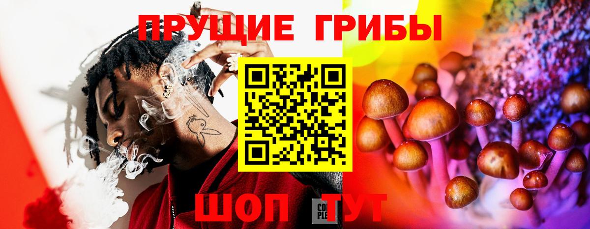 Галлюциногенные грибы Magic Shrooms Бугуруслан